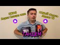 Яндекс Модуль и НОВАЯ Яндекс Станция мини 2 / Умный дом / Честный отзыв на Тандем