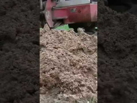 Holy 💩$&@ Cat Lady!! #comedy #funny #construction #catlady #poop #poopdynasty #dirty #smelly