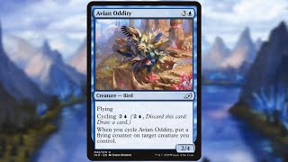 Random Card Talkin' - Avian Oddity