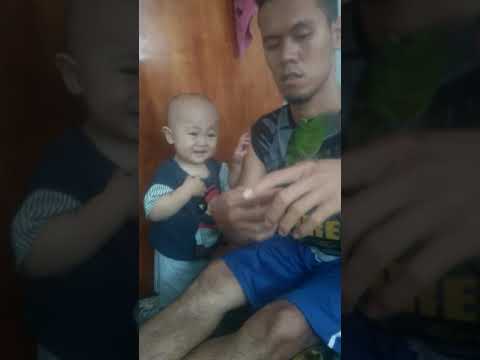 Perkici lembayung belajar jinak