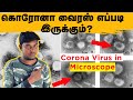 கொரோனா வைரஸ் மனித உடலில் எப்படி பரவுது பாருங்க ! - Coronavirus in Human Body | Microscope | Tamil