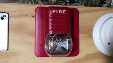 Fire Lite MS-4 Test 1