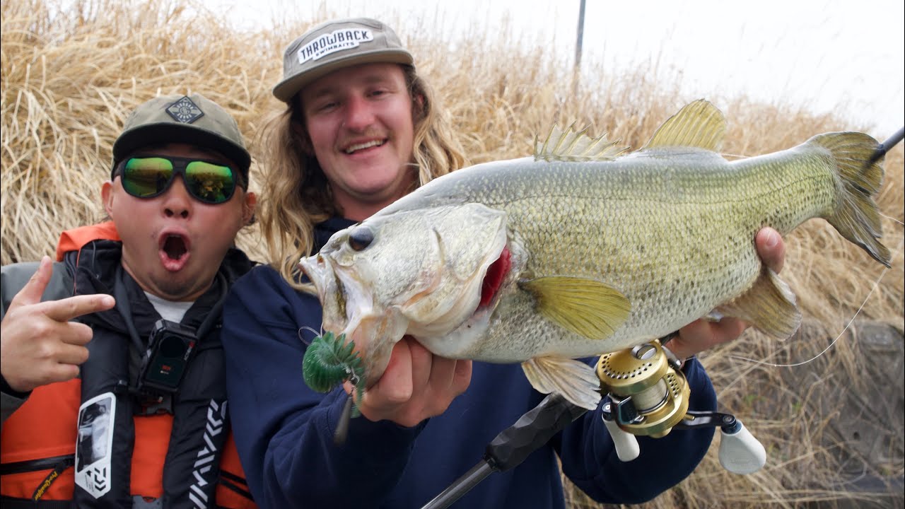 I LOVE FISHING IN JAPAN!!! @hibikisami