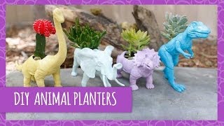 Diy Cute Dinosaur Planters- Hgtv Handmade