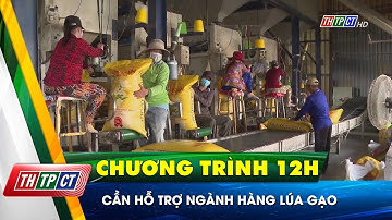 Cần hỗ trợ ngành hàng lúa gạo | Cần Thơ TV
