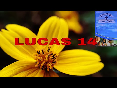 LUCAS 14 || PAGMAMATAAS AT PAGPAPAKUMBABA || ANG PAGIGING ALAGAD || ASIN NA WALANG ALAT