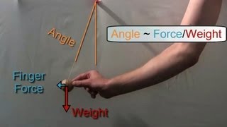 Circular Motion