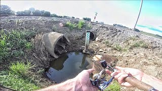 Fishing in a Puddle? Vlog#14