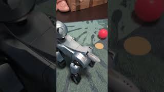Jumpy with his Aibo-Life 1 Software