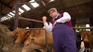 Agrarsubventionen – für jeden Hektar fließt der Nektar