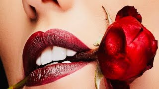 Magic Bullet - T is for Tango (Official Music Video)