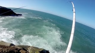 Sardine Paste for Fishing - Live Fishing Video | Easy Catching Fish Sardine Paste for Fishing - Live Fishing Video | Easy Catching Fish
