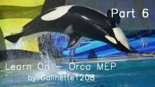 Lean On - Orca MEP [ CLOSED ] !!!