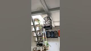 Sekolah Murai Batu Indonesia