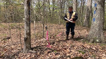 Woodland Boundaries: Locating and Marking Corners