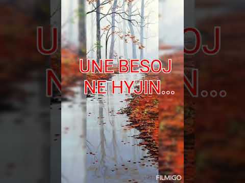 SONTE LIVE NE