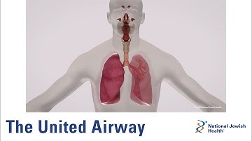 The United Airway