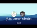 Resolución guía resumen números PREUGRAM