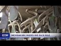 Natural Resources Commission enacts one-buck rule, eliminates limited firearms zone for deer season