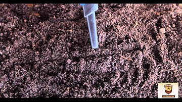 Nokta RS Pinpointer - test and presentation