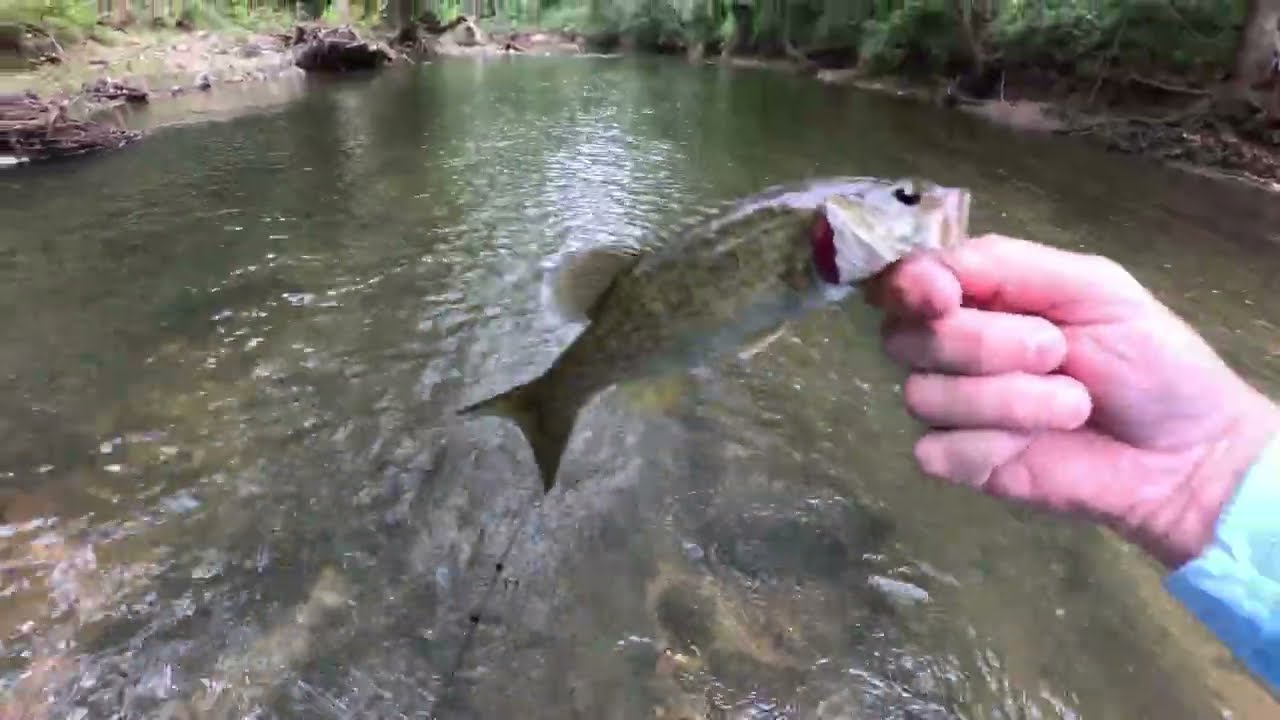 Fishing A Middle Fork Saline River Access – Crows, AR | Arkansas Bass Were Hungry Today!