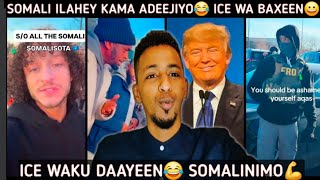 Trump Qac Ba Ka Yeertey Ice Waku Daysay Wlhi Somali Wa Mucjiso Istaagey Toos Oga Rideen Adkaatey