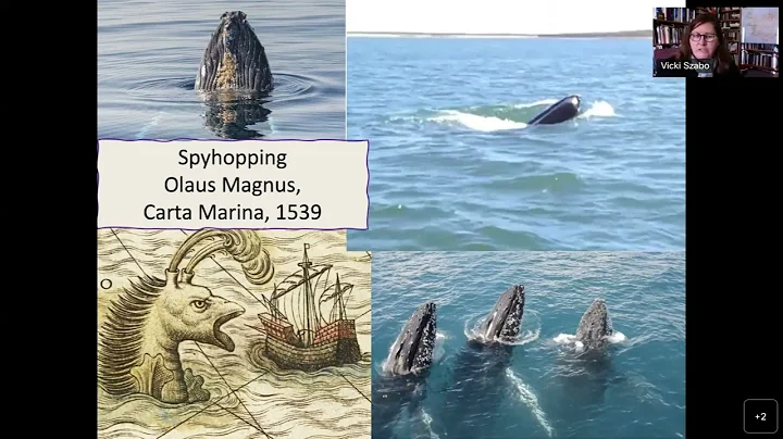 From the Cairns to Cata Sand: The History and Arch...