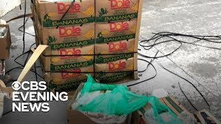 Authorities find $18 million worth of cocaine hidden in banana shipment