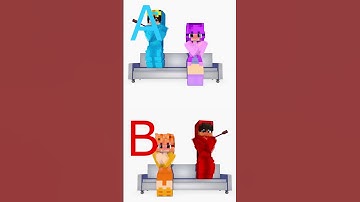 WHO IS THE BEST PARTNERS ??? #matthewcraft #shorts