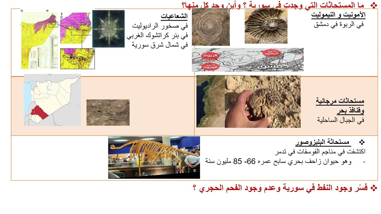 القسم الثاني من درس المستحاثات للصف الحادي عشرsouadtahan@