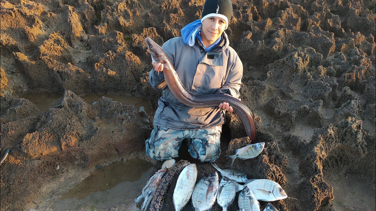 اول حصيله الشرغو بعد غياب طويل حصيلة لابأس بها🪱🎣🐟