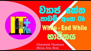 Pseudo code 6 While End While  GCE OL ICT in sinhala (it plus)