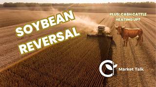 Details September WASDE Recap and Cattle Market Finally Waking Up News