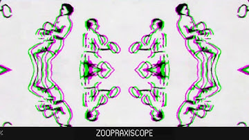 Zoopraxiscope - Custom OP-Z App Videopak - synthpaks.com