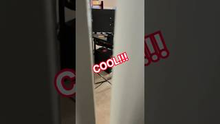 The Junkroom Gets A New Friend