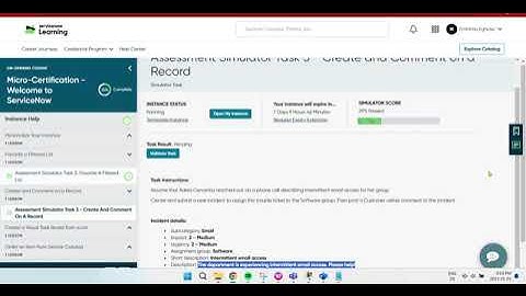 Micro-Certification | Create and Comment On a Record |  Task - 3