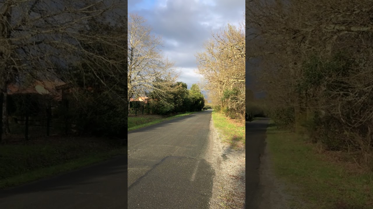 NATURE FRANCE BLANQUEFORT