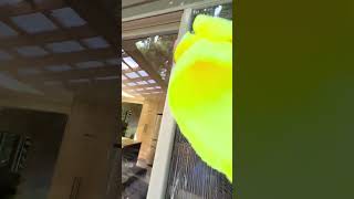 Famous How to clean a window basics Profile