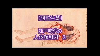 【閲覧注意】人体解剖図２　江戸時代に書かれた人体図が結構グロい