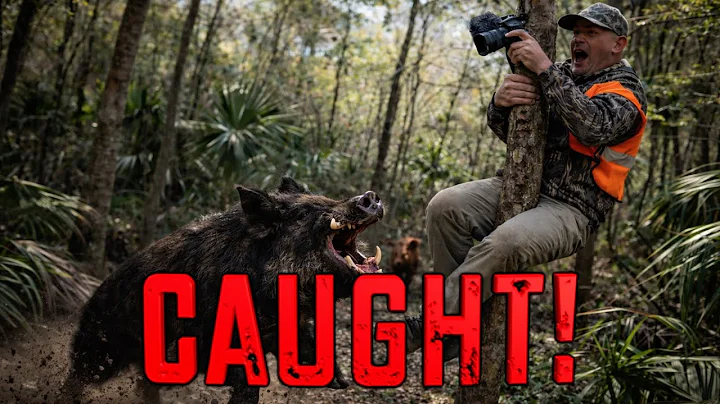 THESE HOGS ALM0ST CAUGHT BLUEGABE!