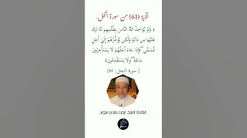 الآية (61)من سورة النحل// القارئ الشيخ أيمن رشدي سويد.