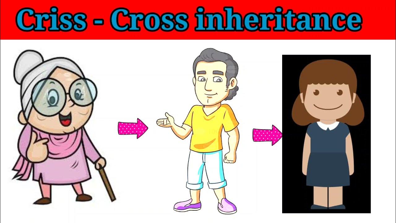Criss cross Inheritance Hindi Medium Jaisinghsir Class 12th criss-cross-inheritance-hindi-medium-jaisinghsir-class-12th