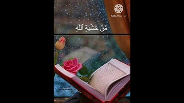 اكتب شيء تؤجر عليه #سورة_الحشر #الشيخ_نورين_محمد_صديق