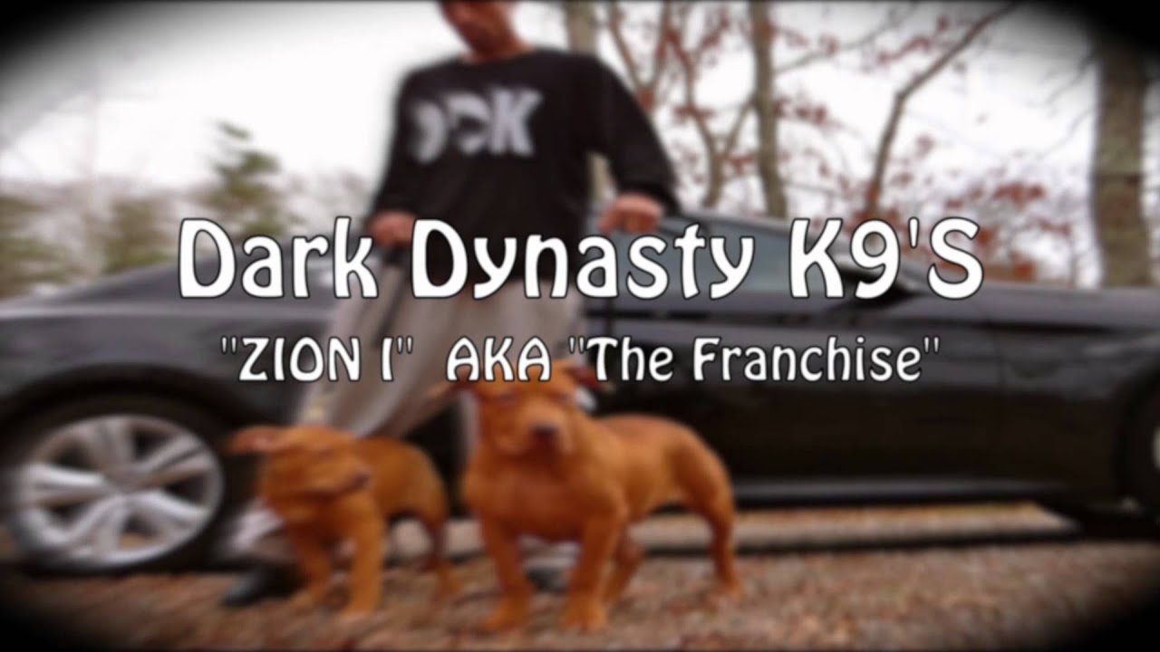 to Dark Dynasty K9's YouTube