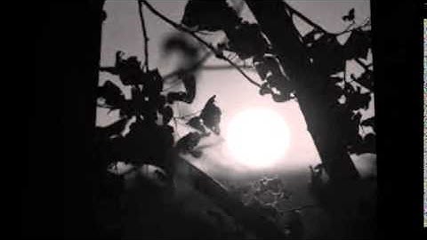 Nirakudam thulumbi.....