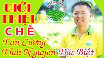 Chè Tân Cương Thái Nguyên đặc biệt | Trà Thái Nguyên