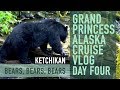 Alaska Cruise Vlog - Day 4 Ketchikan Bears