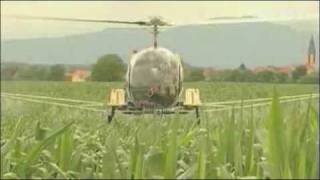 Czech Presidency, The Euro Gaza, Gas Crises And Pesticides