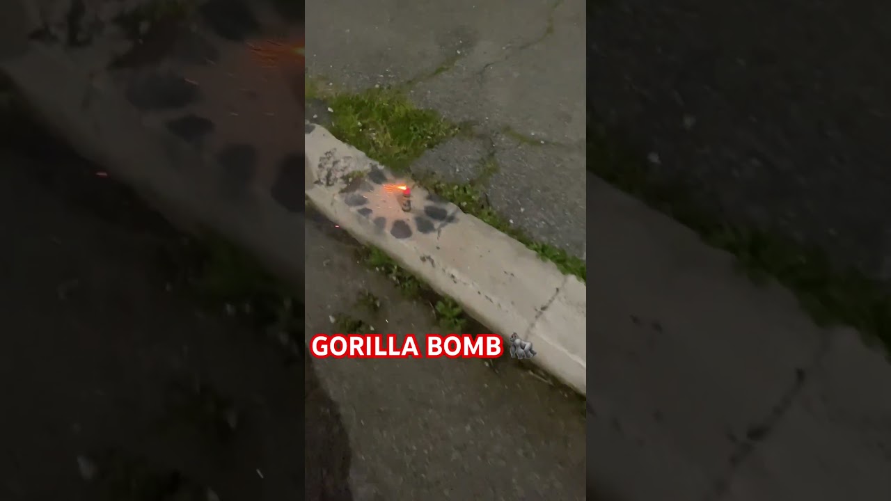 GORILLA BOMB 🦍 