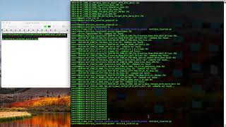 Tutorial for Running HPC pipeline of the Human-in-the-loop Frame Blends Nomination System